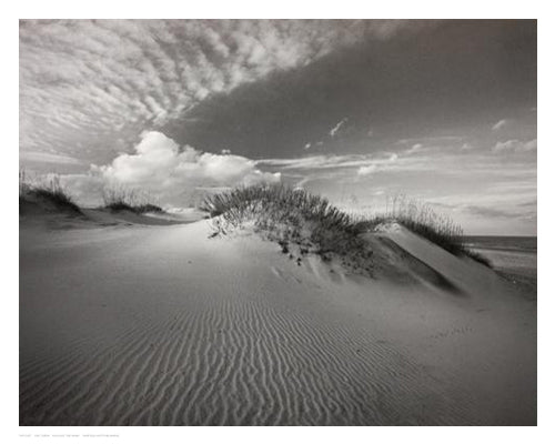 Ripple Effect by Eve Turek | 11 x 14 Fine Art Print