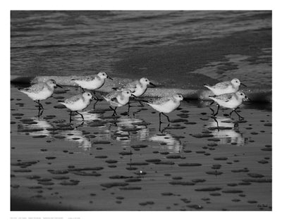 Family Reunion by Eve Turek | 11 x 14 Fine Art Print