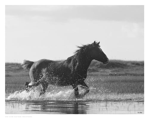 Run Like the Wind by Eve Turek | 11 1/2 x 14 1/2 Fine Art Print