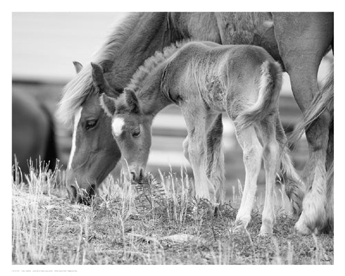 Like Mother, Like Son by Eve Turek | 11 1/2 x 14 1/2 Fine Art Print
