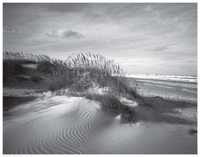 Sand Dunes Wall Art | 14 1/2 x 18 1/2 Fine Art Print