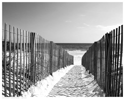 Coastal Path Wall Art | 11 1/2 x 14 1/2 Fine Art Print