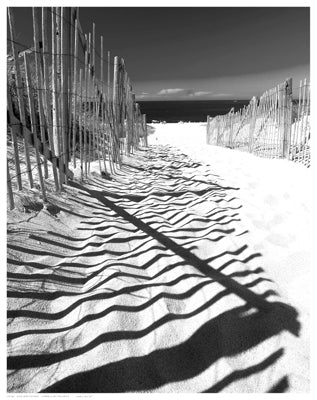 Shadowed Pathway Wall Art | 14 1/2 x 11 1/2 Fine Art Print