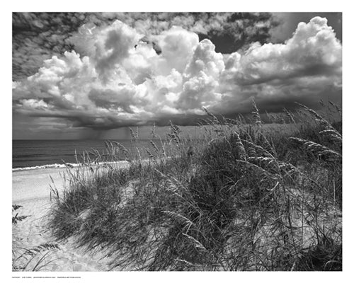 Another Glorious Day by Eve Turek | 11 1/2 x 14 1/2 Fine Art Print