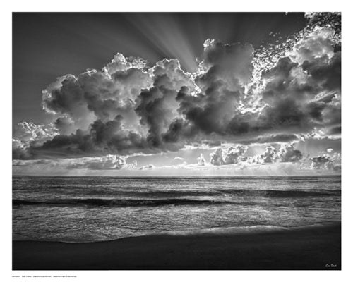 Majestic Morning by Eve Turek | 11 1/2 x 14 1/2 Fine Art Print