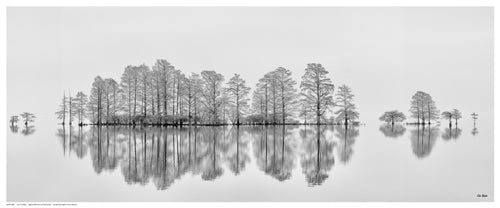 Meditation in the Mist by Eve Turek | 8 ½ x 20 ½ Fine Art Print