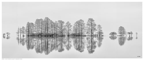 Framed Art Meditation in the Mist by Eve Turek | 8 ½ x 20 ½