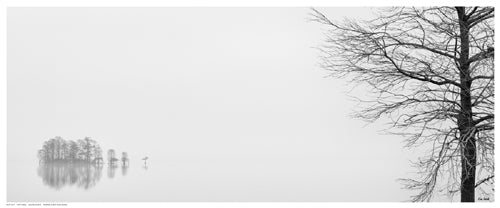 Vision Quest by Eve Turek | 8 ½ x 20 ½ Fine Art Print