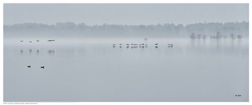 Winter on the Lake by Eve Turek | 8 ½ x 20 ½ Fine Art Print