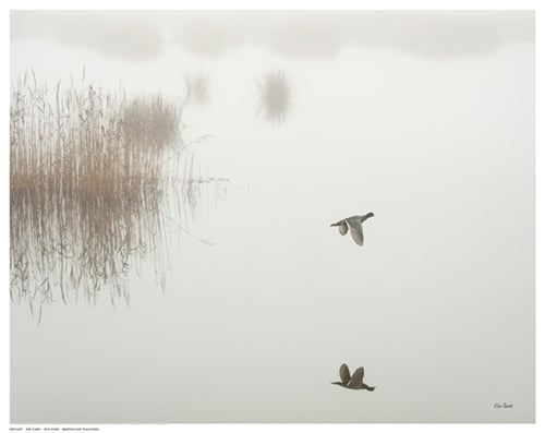 Framed Art Fog Flyer by Eve Turek | 11 ½ x 14 ½