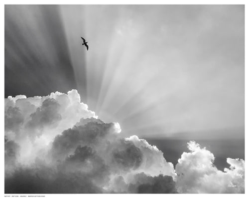 Heavenly by Eve Turek | 11 ½ x 14 ½ Fine Art Print