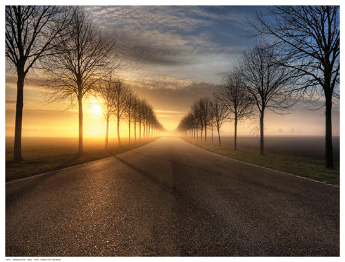 Vanishing Road Wall Art | 12 ½ x 16 ½ Fine Art Print
