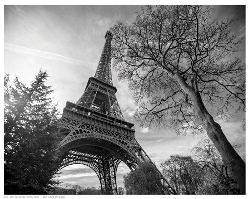 Framed Art Eiffel Tower with Tree by Stéphane Graciet | 11 ½ x 14 ½