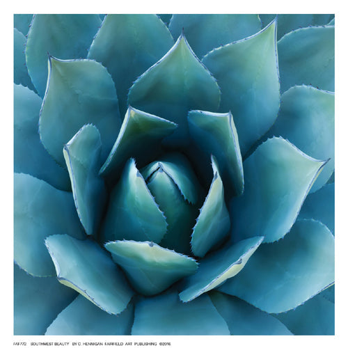 Framed Art Southwest Beauty by C. Hennigan | 6 ½ x 6 ½