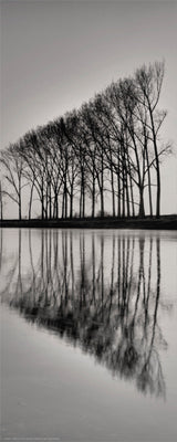 Reflections Wall Art | 20 1/2 x 8 1/2 Fine Art Print