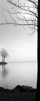 Island in the Mist Wall Art | 20 x 8 Fine Art Print