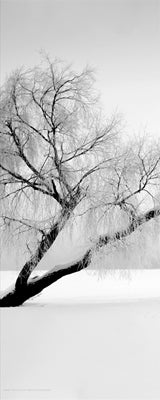 Solitude Wall Art | 20 x 8 Fine Art Print