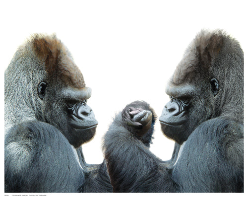 It’s Your Move by Barlow | 11 ½ x 14 ½ Fine Art Print