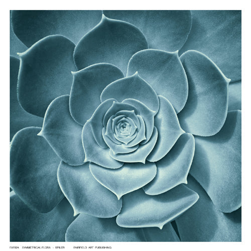 Framed Art Symmetrical Flora by Spiler | 6 ½ x 6 ½