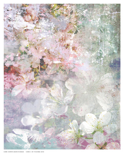 Framed Art Cherry Flowers by Hoskari | 10 ½ x 8 ½