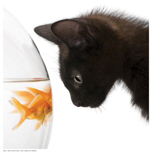 Penny for Your Thoughts Wall Art | 12 ½ x 12 ½ Fine Art Print