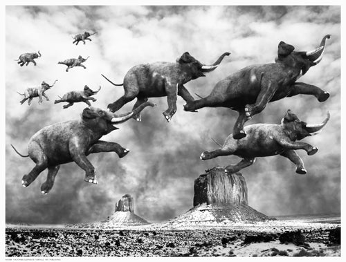 The Flying Elephants Wall Art | 12 ½ x 16 ½ Fine Art Print