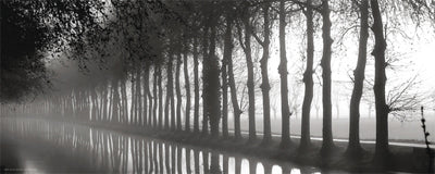 Tree Lined Canal Wall Art | 8 x 20 Fine Art Print