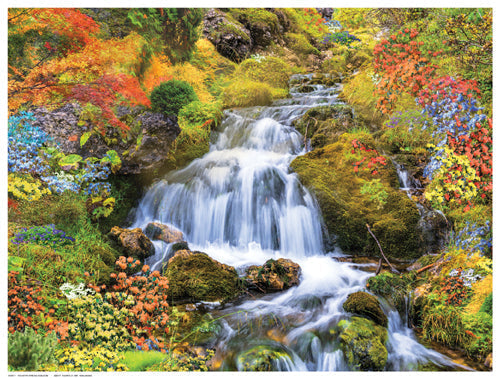 Framed Art Country Stream in Bloom 12 ½ x 16 ½