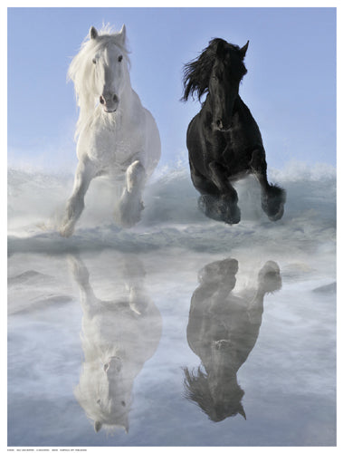 Framed Art Salt And Pepper by V. Makarova | 16 ½ x 12 ½