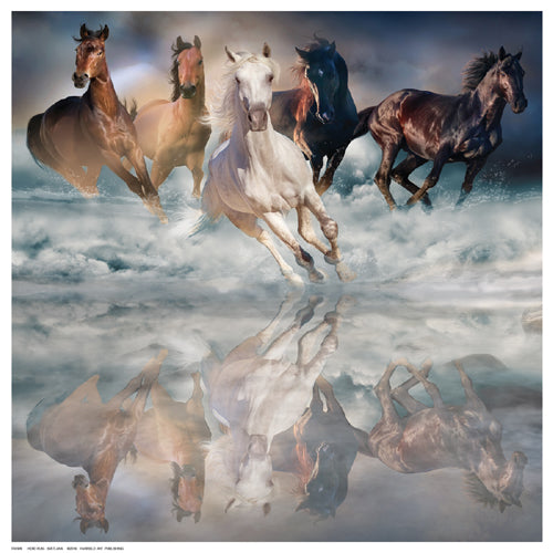 Herd Run by Svetlana | 12 ½ x 12 ½ Fine Art Print