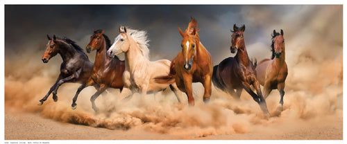 Framed Art Desert Run by Svetlana | 8 ½ x 20 ½