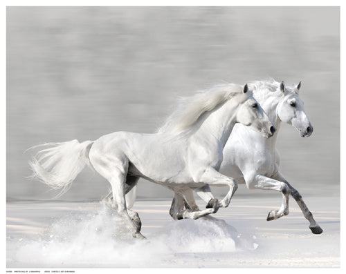 Framed Art Winter Gallop by V. Makarova | 11 ½ x 14 ½
