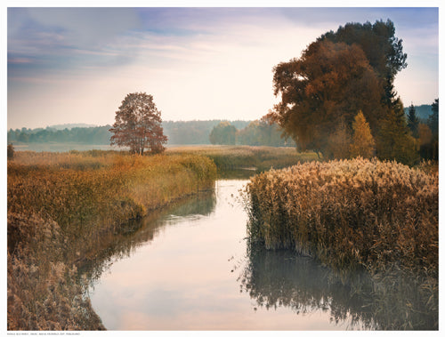 Framed Art Elk River 12 ½ x 16 ½