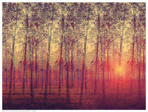 Framed Art Poplar Trees in the Setting Sun 12 ½ x 16 ½