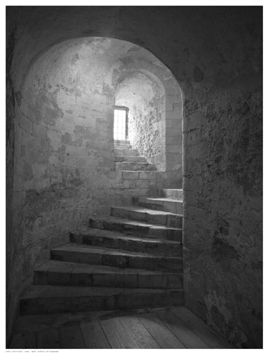 Castle Steps Wall Art | 16 ½ x 12 ½ Fine Art Print
