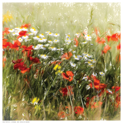Framed Art Poppy Field by J. Cottingham | 12 ½ x 12 ½