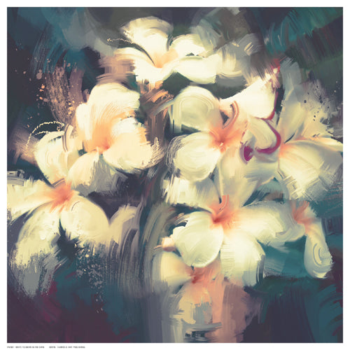 Framed Art White Flowers in the Dark 12 ½ x 12 ½