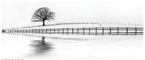 Winter Oak in a Field by N. Barbone | 8 ½ x 20 ½ Fine Art Print