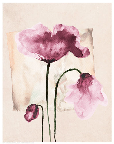 Violet Watercolor Poppies by Olga Z. | 14 ½ x 11 ½ Fine Art Print