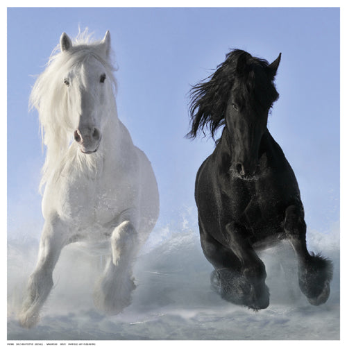 Salt and Pepper (Detail) by V. Makarova | 12 ½ x 12 ½ Fine Art Print