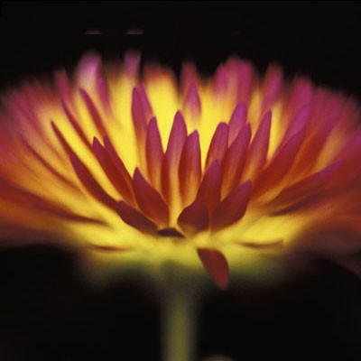 Sunshine Wall Art | 6 x 6 Fine Art Print