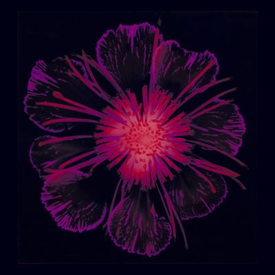 Burst of Crimson Wall Art | 6 x 6 Fine Art Print