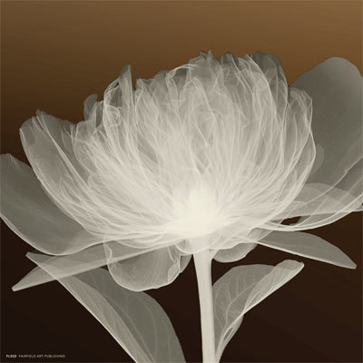 Full Bloom Awakening Wall Art | 8 x 8 Fine Art Print