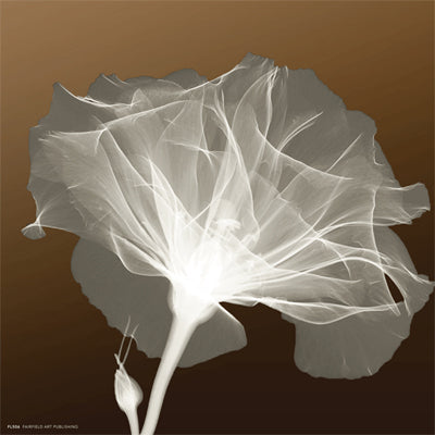 Awaiting Bloom Wall Art | 8 x 8 Fine Art Print