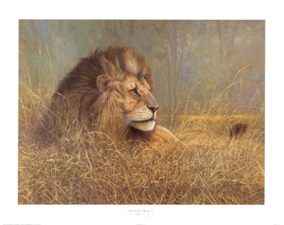 Framed Art Majestic Beauty by Ruane Manning | 22 x 28