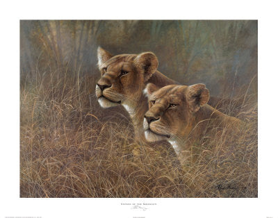 Framed Art Sisters of the Serengeti by Ruane Manning | 22 x 28