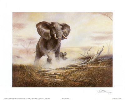 Raging Bull by Ruane Manning | 22 x 28 Fine Art Print