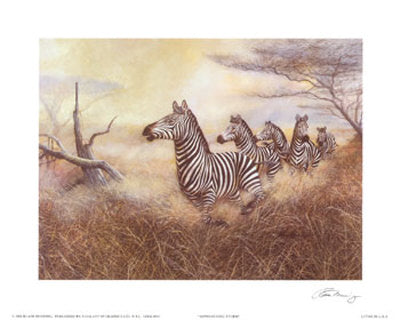 Approaching Storm by Ruane Manning | 22 x 28 Fine Art Print