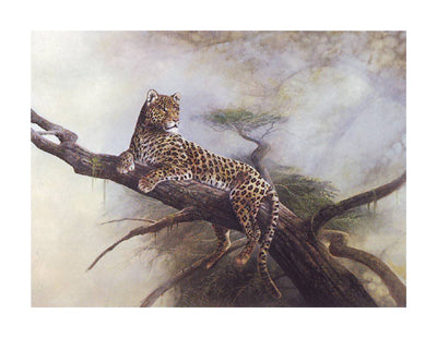Framed Art Spotted Beauty by Ruane Manning | 22 x 28