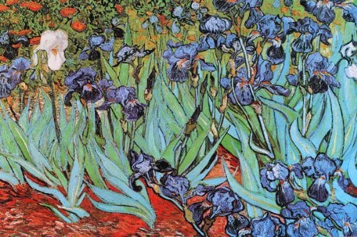 Framed Art Irises by Vincent van Gogh | 24 x 36